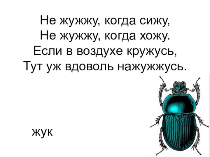 Не жужжу, когда сижу, Не жужжу, когда хожу. Если в воздухе кружусь, Тут уж вдоволь нажужжусь.жук