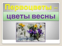 Презентация по биологии на тему Первоцветы - цветы весны
