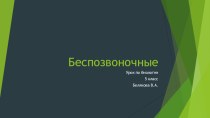 Презентация к уроку биологии Беспозвоночные животные 5 класс