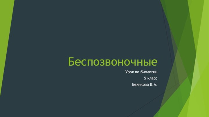 Беспозвоночные Урок по биологии 5 классБелякова В.А.