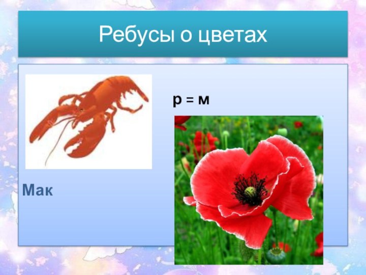 Ребусы о цветах