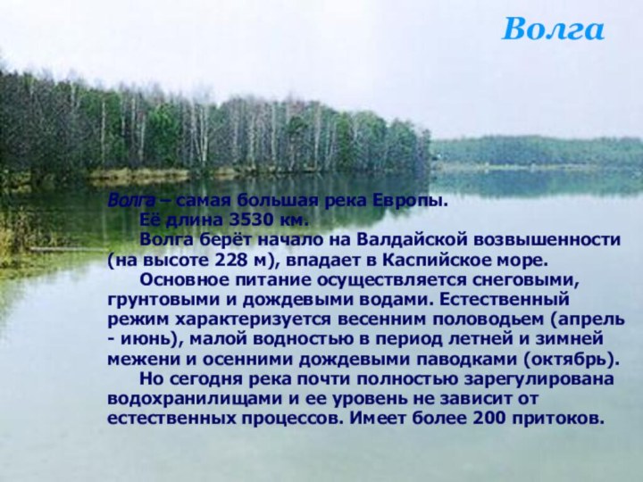 Волга – самая большая река Европы. 	Её длина 3530 км.	Волга берёт
