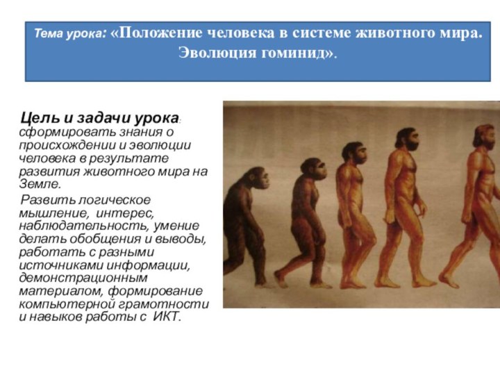 Цель и задачи урока: сформировать знания о происхождении и эволюции человека