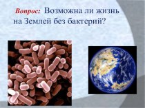 Презентация по биологии на тему Роль бактерий в природе и жизни человека