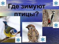 Презентация по окружающему миру на тему:  Где зимуют птицы