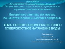 Презентация для внеурочного занятия, STA-модуль по нанотехнологиям Загадки природы