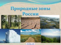 Природные зоны России. Арктические пустыни, тундра, лесотундра.