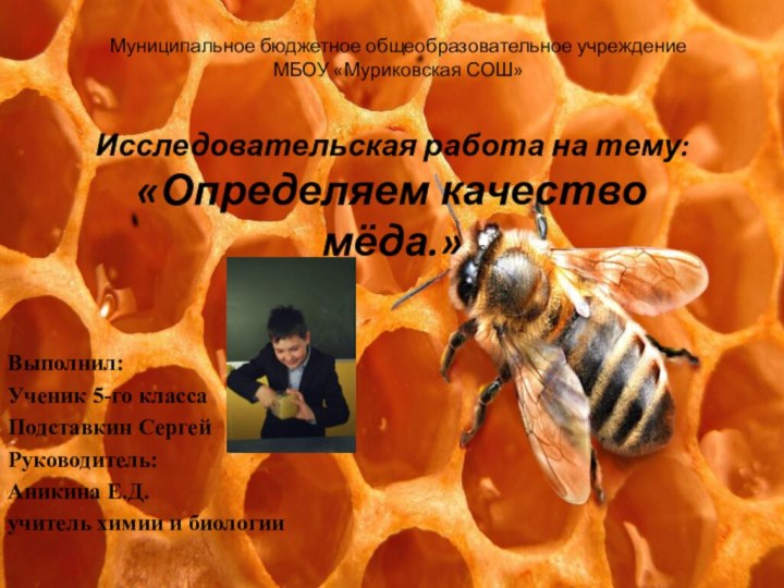 Исследовательская работа на тему:  «Определяем качество мёда.» Выполнил:Ученик 5-го классаПодставкин СергейРуководитель:Аникина
