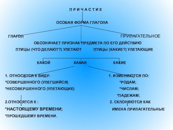 Причастие и деепричастие в системе частей речи