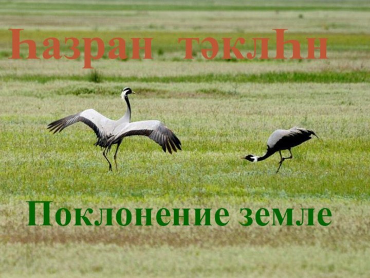 Һазран тәклҺнПоклонение земле