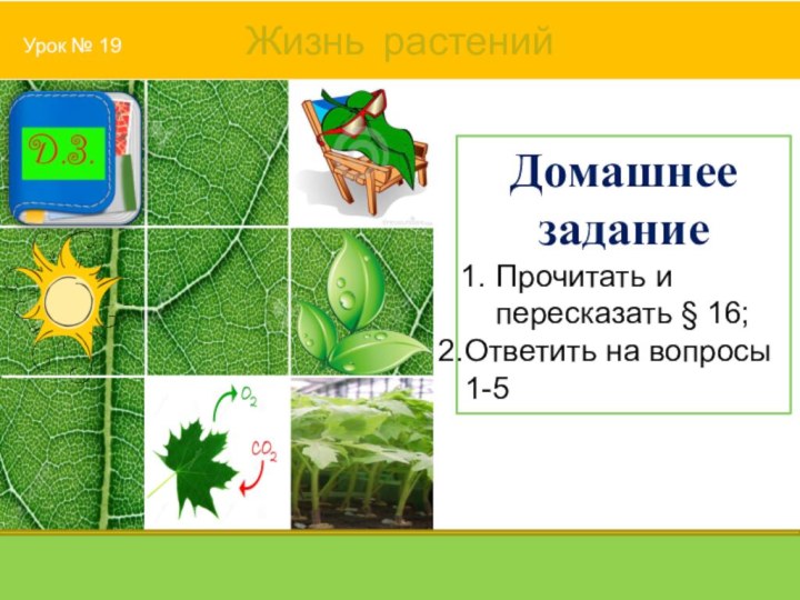 Домашнее заданиеПрочитать и пересказать § 16;Ответить на вопросы 1-5 Урок № 19