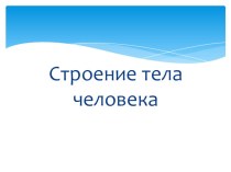 Презентация по окружающему миру Строение тела человека