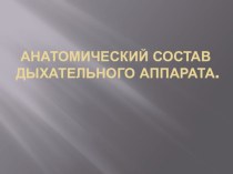 Презентация по теме Анатомия и физиология дыхательного аппарата по специальности 36.02.01 Ветеринария