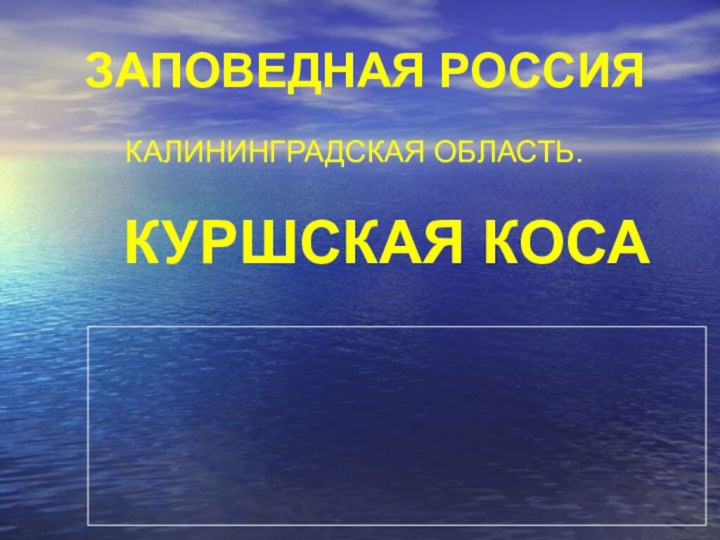 ЗАПОВЕДНАЯ РОССИЯКАЛИНИНГРАДСКАЯ ОБЛАСТЬ.КУРШСКАЯ КОСА