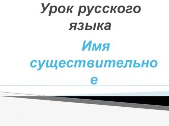 Презентация по русскому языку на тему Существительное 5 класс