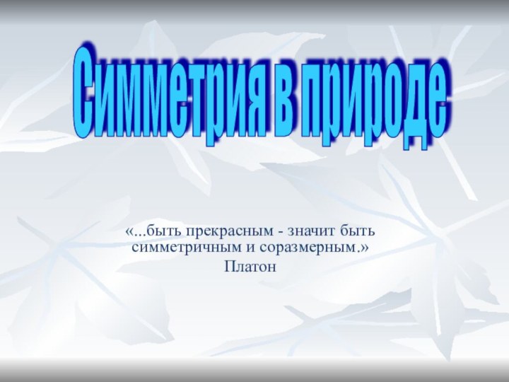 Симметрия в природе «...быть прекрасным - значит быть симметричным и соразмерным.» Платон