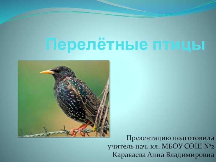 Перелётные птицыПрезентацию подготовила учитель нач. кл. МБОУ СОШ №2Караваева Анна Владимировна