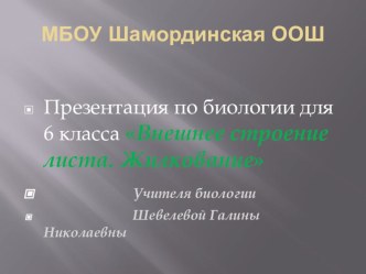 Презентация по биологии на тему Внешнее строение листа. Жилкование (6 класс)