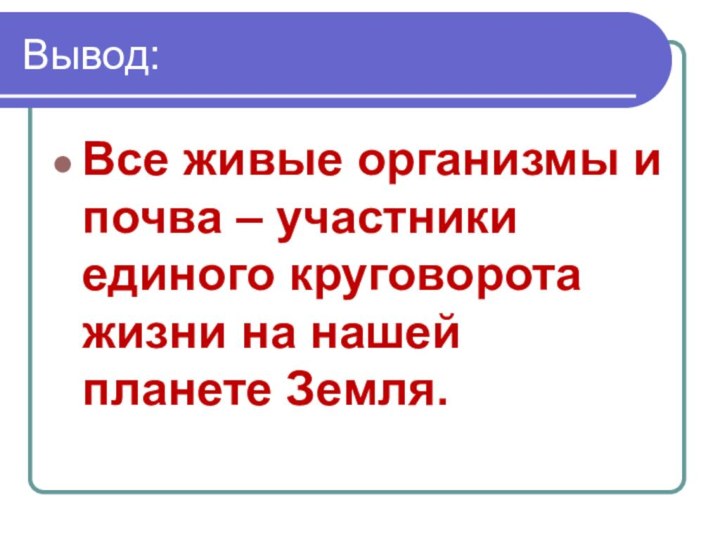 Вывод:Все живые организмы и почва – участники единого круговорота жизни на нашей планете Земля.