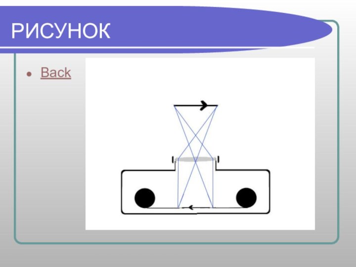 РИСУНОКBack