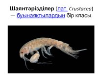 Шаянтәрізділер (лат. Crustacea) — буынаяқтылардың бір класы. Зерттеушілердің бір тобы шаянтәрізділер трилобиттерден, екіншілері буылтық құрттардан шыққан деген болжам жасайды.