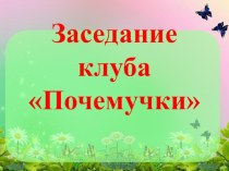 Внеурочное занятие клуба Почемучки по теме Что будет если исчезнут насекомые в 4 классе
