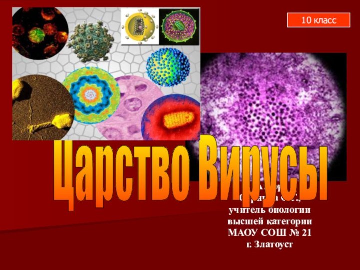 АвторСурнина С.Г.,учитель биологии высшей категории МАОУ СОШ № 21г. ЗлатоустЦарство Вирусы 10 класс