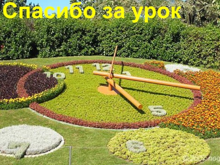 Спасибо за урок