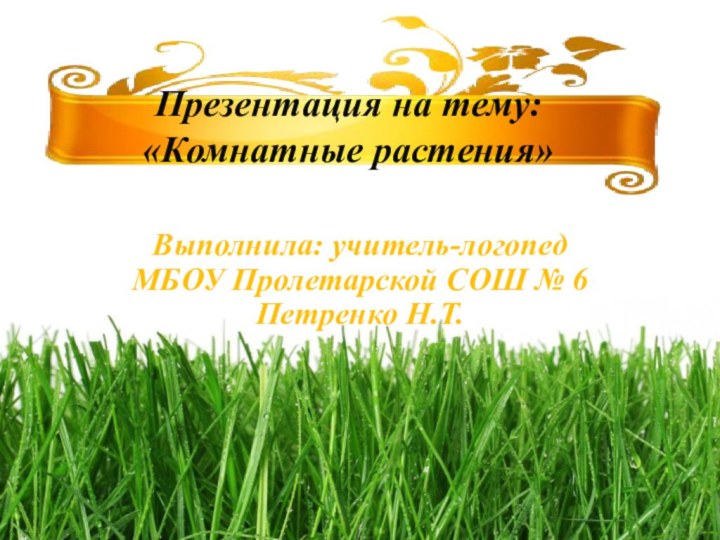 Выполнила: учитель-логопед МБОУ Пролетарской СОШ № 6 Петренко Н.Т.Презентация на тему:  «Комнатные растения»