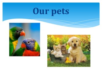 Презентация к уроку по теме We love our pets