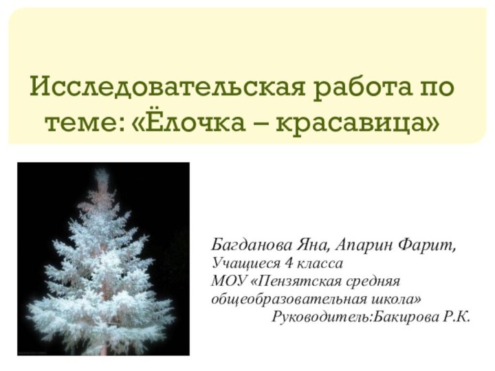 Исследовательская работа по теме: «Ёлочка – красавица»Багданова Яна, Апарин Фарит,Учащиеся 4 классаМОУ