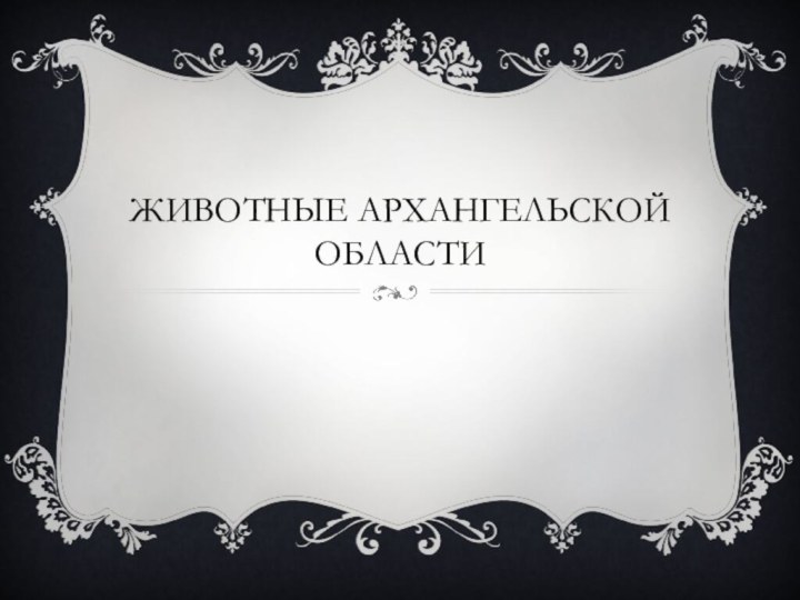 Животные АРХАНГЕЛЬСКОЙ ОБЛАСТИ