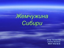 Презентация по биологии на темуЖемчужина Сибири
