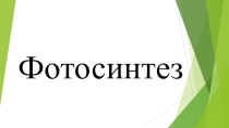 Презентация по биологии на тему Фотосинтез (9 класс)