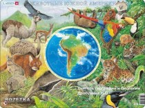 Презентация по географии - Животный мир Южной Америки