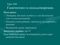 Презентация по биологии Гаметогенез и оплодотворение 10 класс