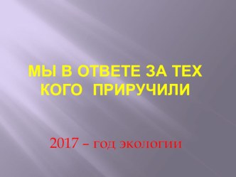 Социальный проект: Где в Челябинске находятся приюты для животных?