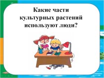 Презентация по окружающему миру на тему  Какие части растений используют люди 3 класс