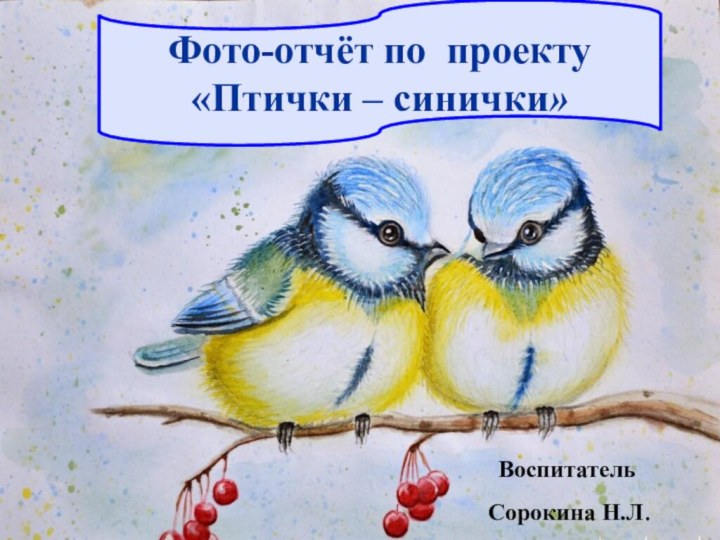 Фото-отчёт по проекту «Птички – синички»Воспитатель Сорокина Н.Л.