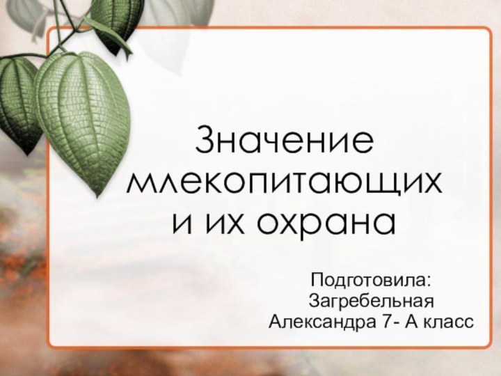 Значение млекопитающих и их охранаПодготовила: Загребельная Александра 7- А класс