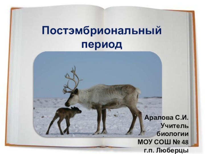 Постэмбриональный период Аралова С.И.Учитель биологииМОУ СОШ № 48г.п. Люберцы