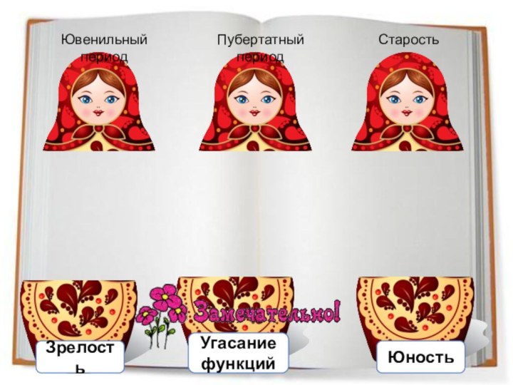 Ювенильный периодПубертатный периодСтарость