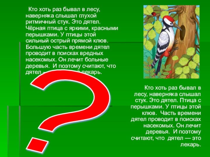 Кто хоть раз бывал в лесу, наверняка слышал стук. Это дятел. Птица