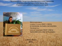 Презентация исследовательской работы Страницы истории Туркменского района