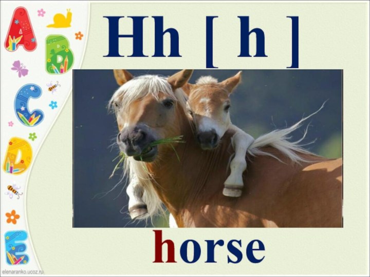 Hh [ h ]horse