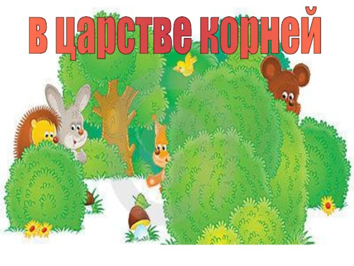 в царстве корней