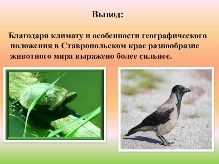 Благодаря климату и особенности географического положения в Ставропольском крае разнообразие