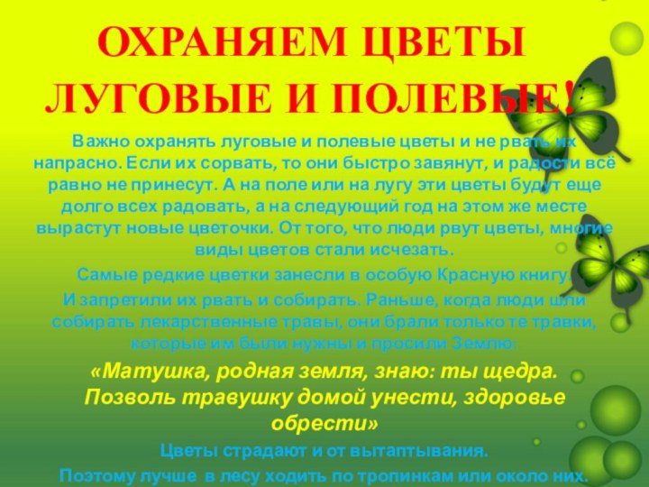 ОХРАНЯЕМ ЦВЕТЫ ЛУГОВЫЕ И ПОЛЕВЫЕ! Важно охранять луговые и полевые цветы и