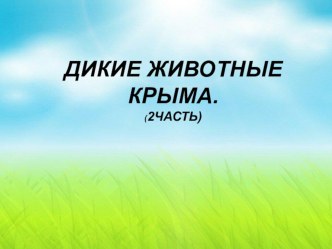 Презентация для старшей группы Дикие животные Крыма (2 часть)