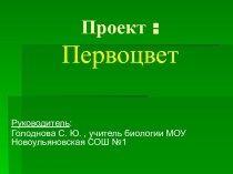 Презентация проекта к уроку биологии Первоцветы